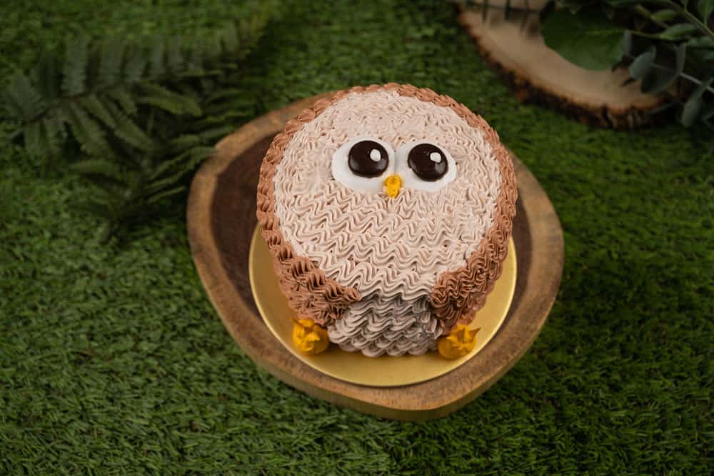 Really Easy Owl Cake - A super simple cute cake to make.