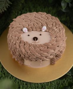 hedgehog-cake